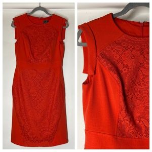 Adrianna Papell Sz 8 Floral Lace Inset Orange Dress Cocktail Party Wedding Guest